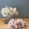 渲染花苞鯊魚夾