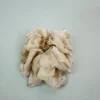 渲染綠1