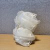 白蕾絲-1